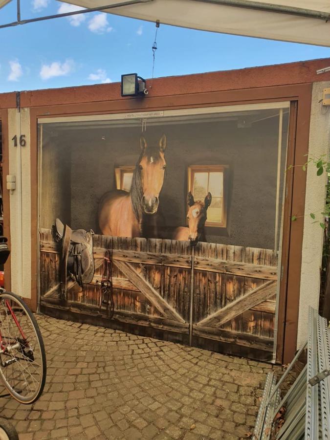 Ferienwohnung Quaisser Miltenberg Exterior foto